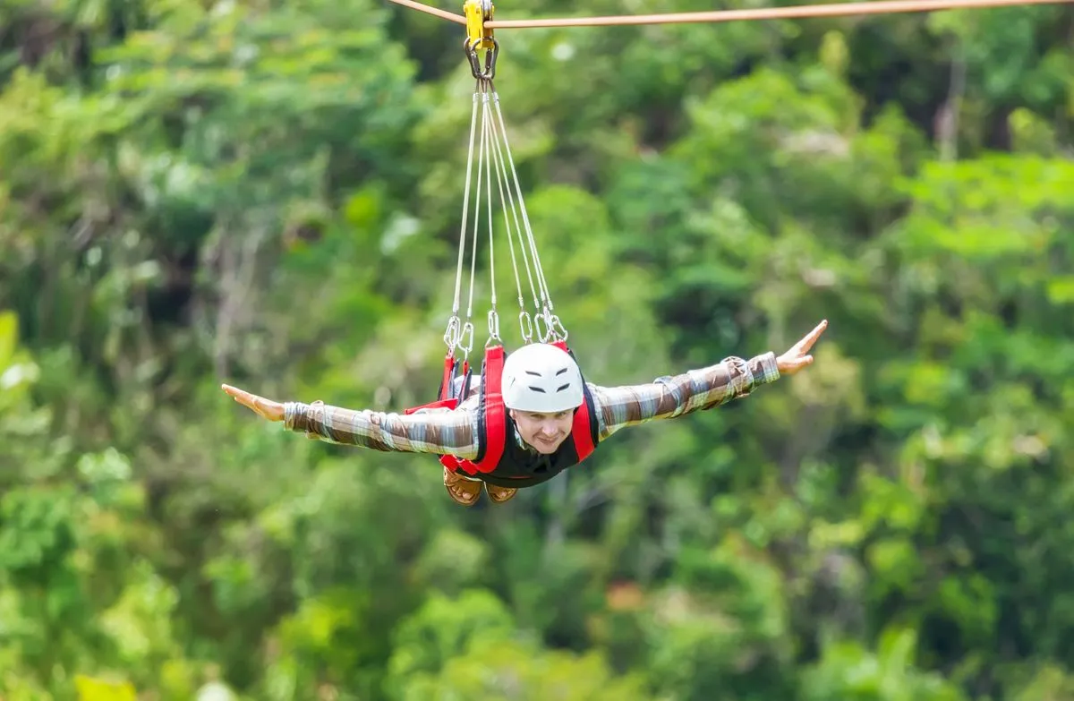 Flying Fox